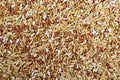 Racing Pigeon Feed