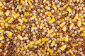 Special Feed with Whole Corn