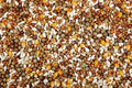 High-Protein Bird Feed with Austrian Peas for Pigeons