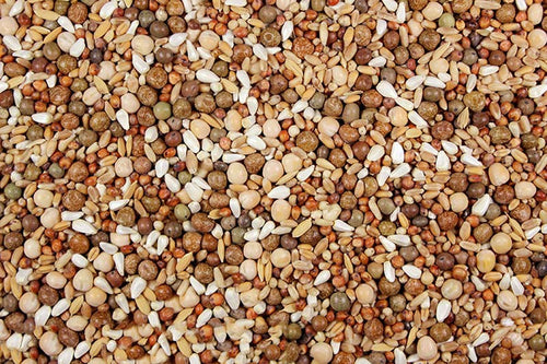 Low Carb No Corn Pigeon Feed Mix