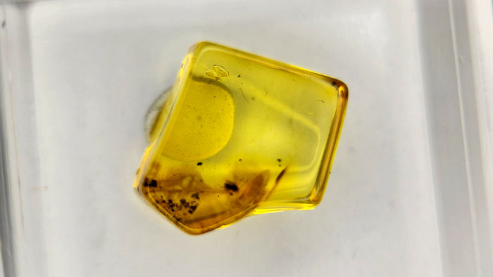 Baltic Amber 45