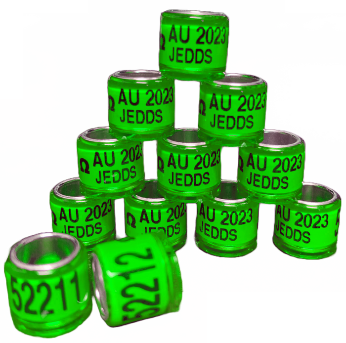 2026 SEAMLESS A.U. BANDS