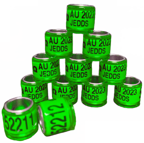 2026 SEAMLESS A.U. BANDS