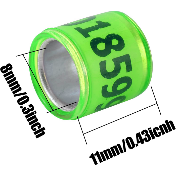 2026 SEAMLESS A.U. BANDS