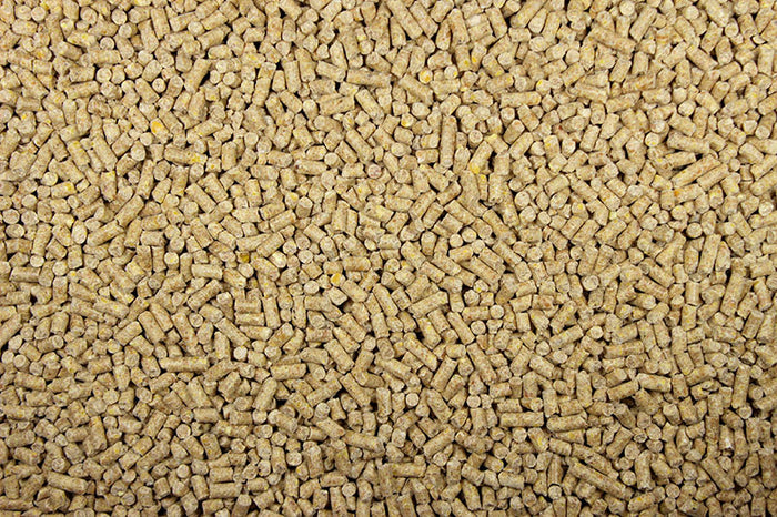 Premium Pigeon Pellet Food