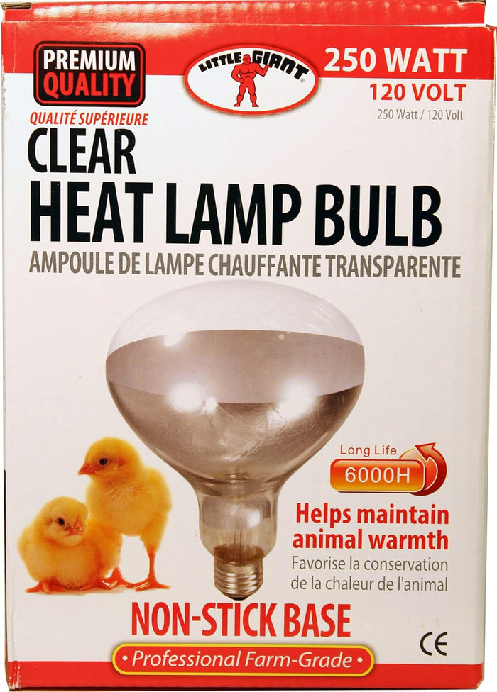 250 Watt Heat Lamp Bulb – Poultry Brooder & Livestock Heat Light (120V)