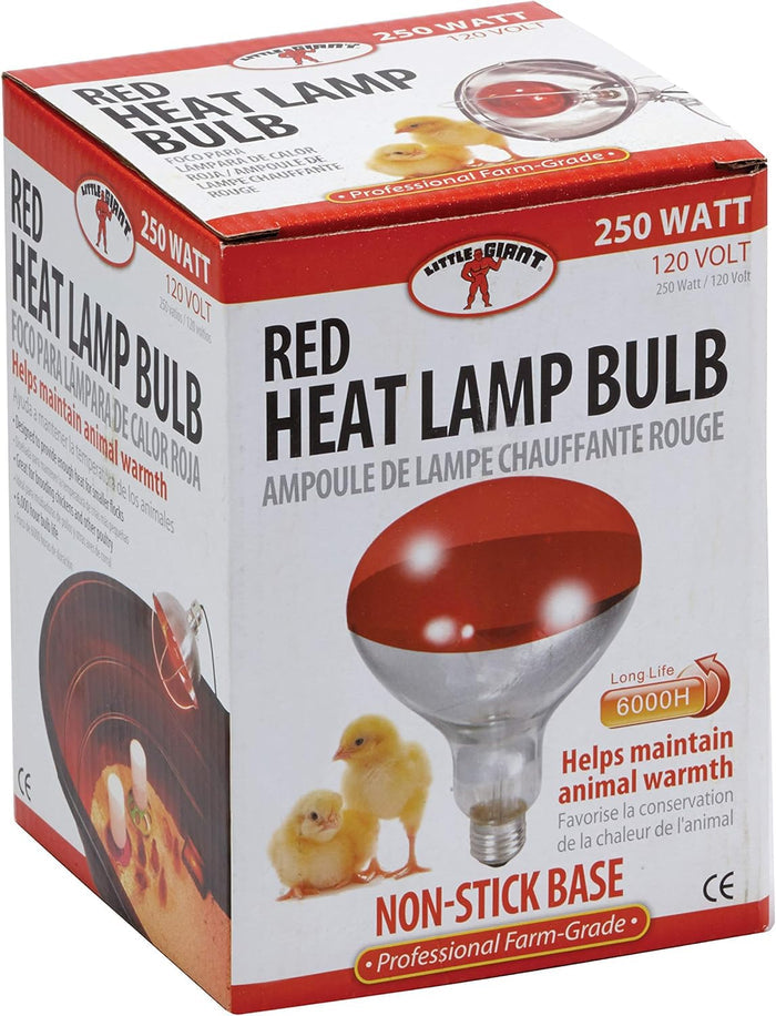 250 Watt Heat Lamp Bulb – Poultry Brooder & Livestock Heat Light (120V)