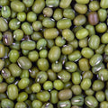 Mung Beans for Pigeons