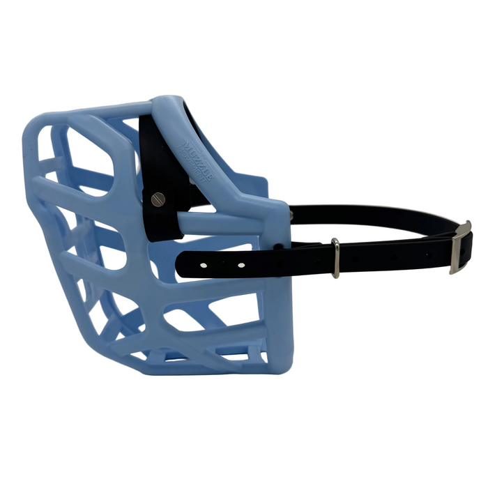 The Muzzle Movement Baby Blue Taz Dog Muzzle with black straps and nickle hardware on a white background