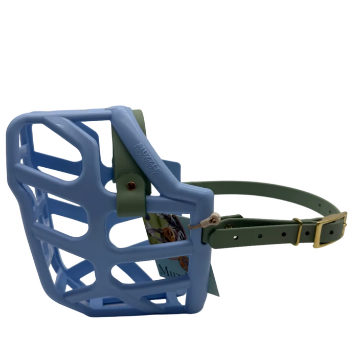 Taz - Baby Blue with Sage Green Biothane (brass)