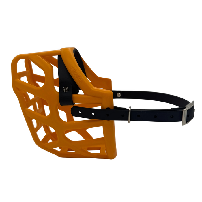 The Muzzle Movement Orange Taz Dog Muzzle with black straps and nickle chicago screws on a white background