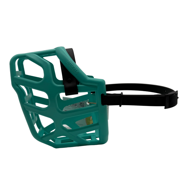 Taz - Teal with Black biothane (Black)