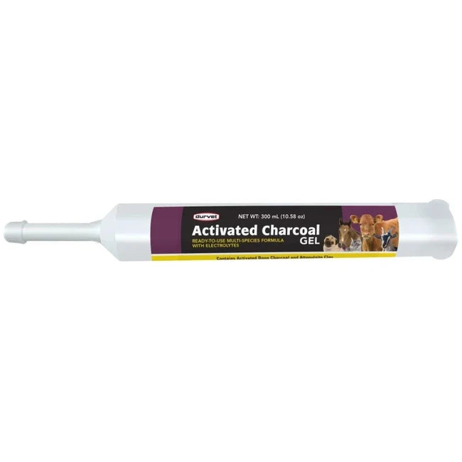 Activated Charcoal Gel – Multi-Species Emergency Toxin Support | 300 ml with Electrolytes