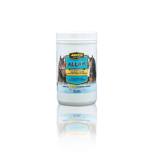 Adeptus Allay Buffers Digestion & Calms Powder Horse Supplement, 4-lb tub