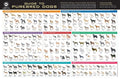 AKC Breed Poster (Flat)
