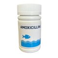 AMOXICILLIN CAPSULES