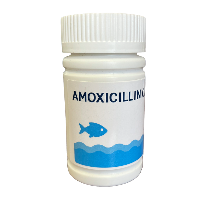 AMOXICILLIN CAPSULES