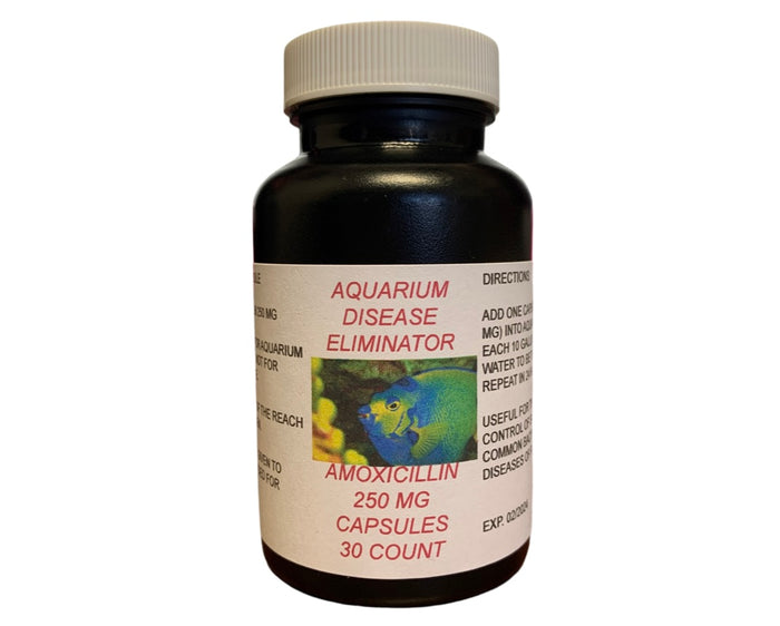 AMOXICILLIN CAPSULES