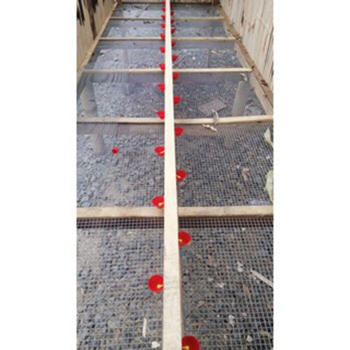 Automatic Water Drinking Cups - Water Feeder for Poultry and Pigeons (10 pcs.)