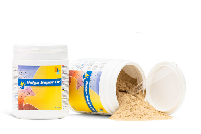 BELGA SUPER FIT (De Weerd)