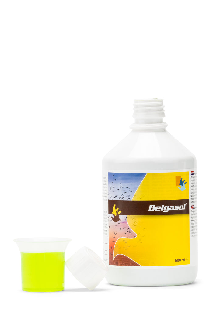 Belgica De Weerd Belgasol Electrolytes & Vitamins for Pigeons 250ml 500ml 1000ml