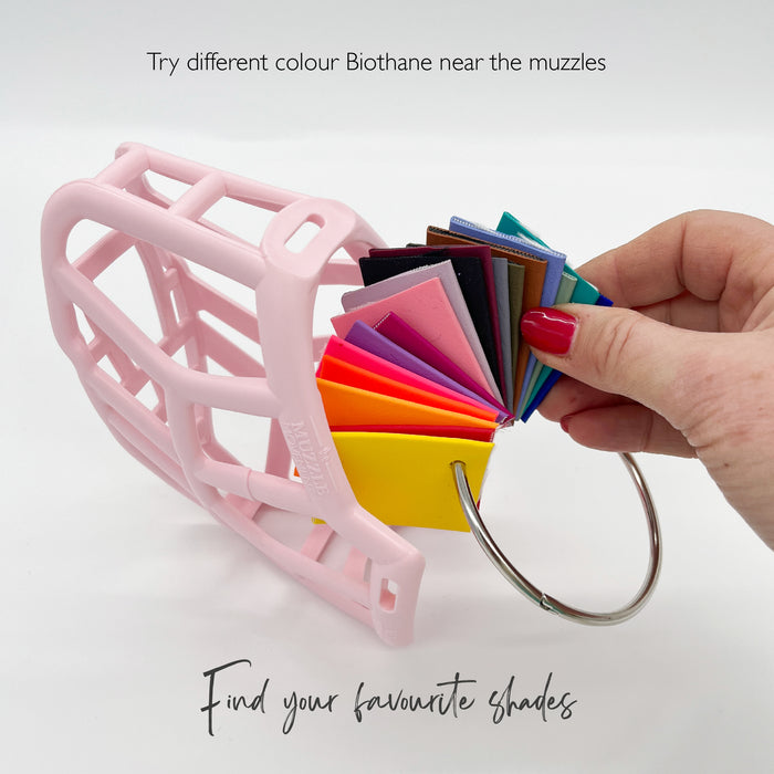 Biothane colour wheel for Trade