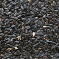 A close-up image of black oil sunflower seeds in shell.