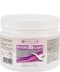 Racing Pigeons Energy Mix with Ginseng