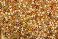 Premium Pigeon Breeding Food