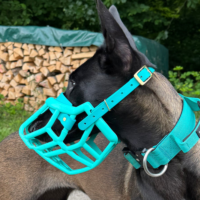 Buckle hardware upgrade for alternative strapping