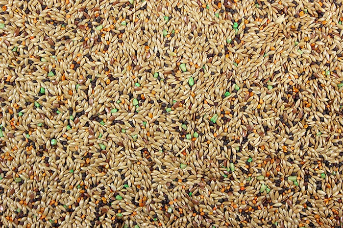 Canary Seed Mix with Vitamins