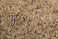 A close-up image of bird feed which includes a mix of seeds such as canary seed, rape seed, and millet.