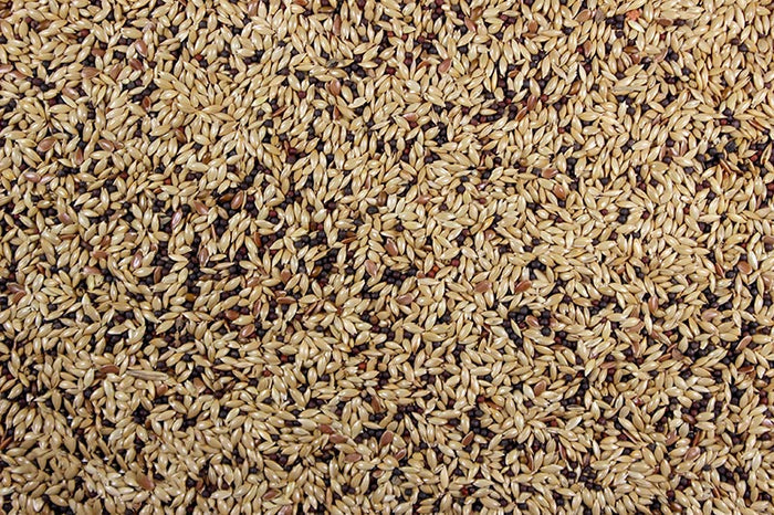 A close-up image of bird feed which includes a mix of seeds such as canary seed, rape seed, and millet.