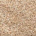 Premium Canadian Canary Bird Food