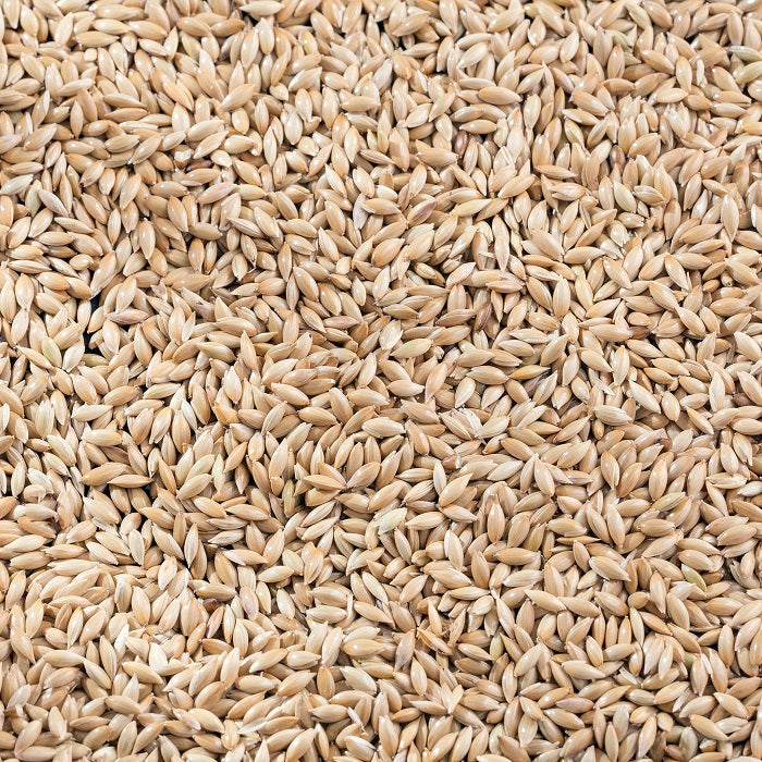 Premium Canadian Canary Bird Food