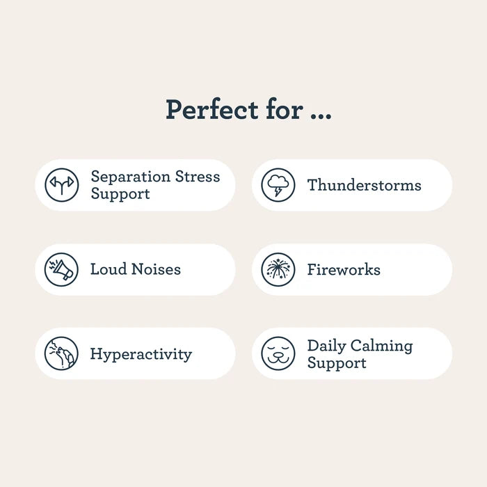 CBD All Day Calming Refills