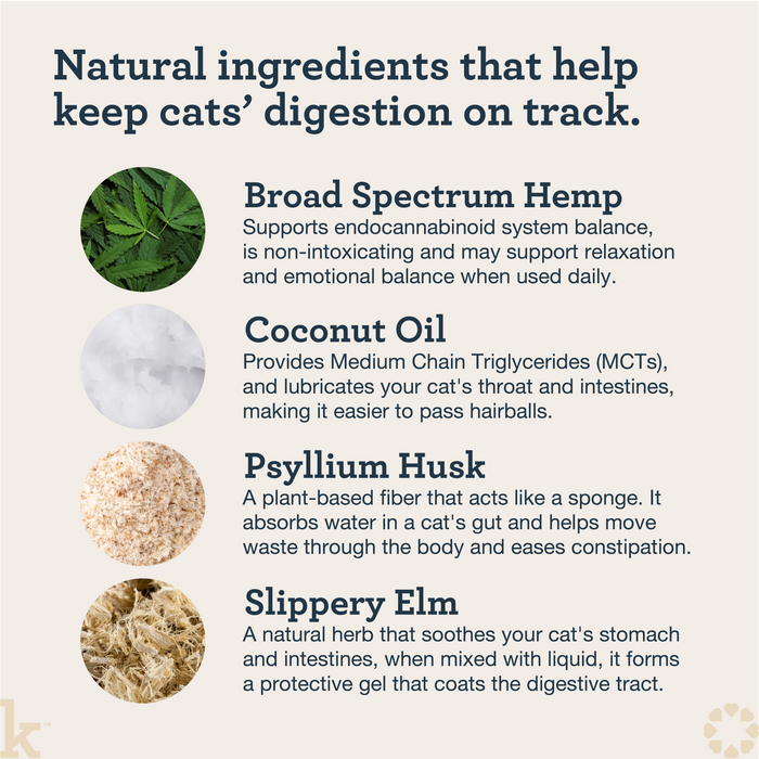 CBD Cat Hairball Wellness Lick
