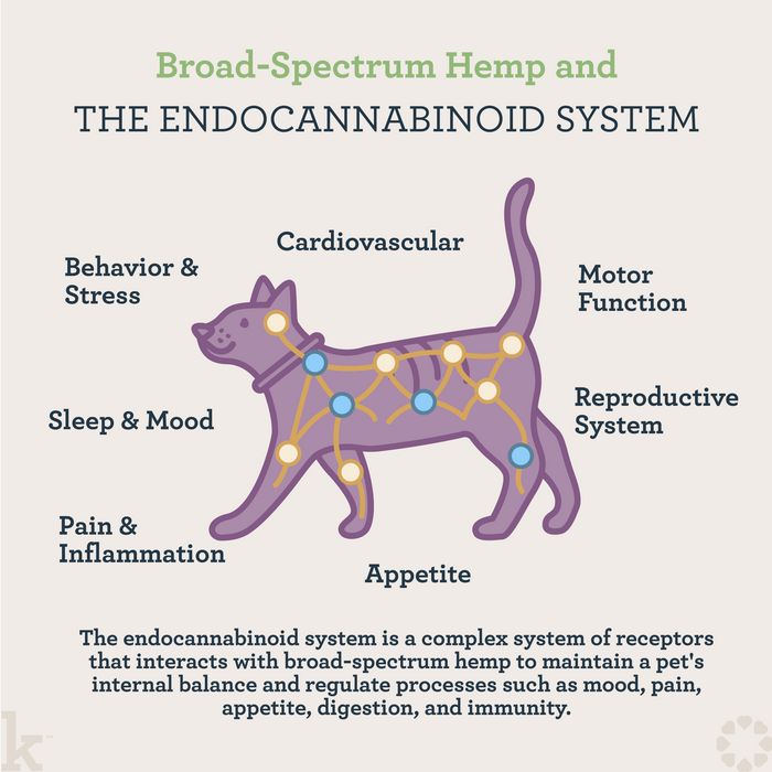 CBD Cat Hairball Wellness Lick