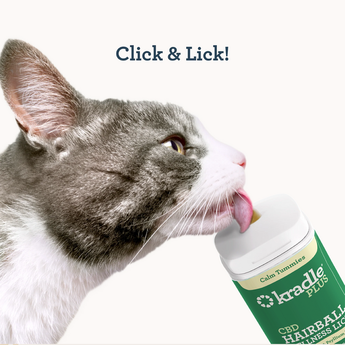 CBD Cat Hairball Wellness Lick