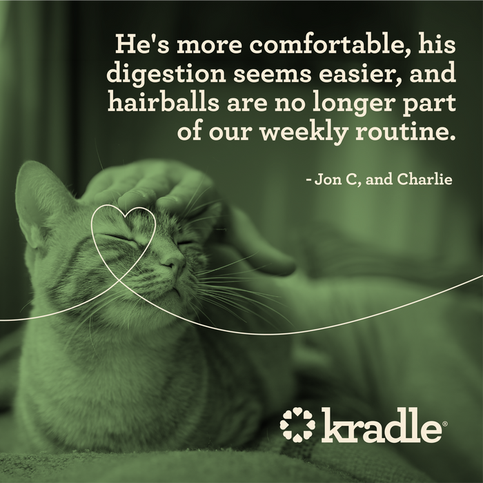 CBD Cat Hairball Wellness Lick