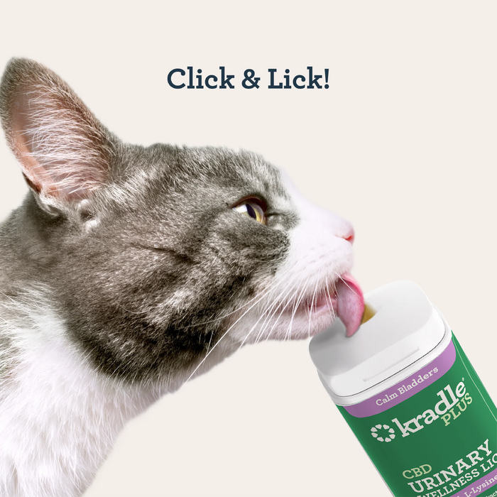 CBD Cat Skin & Allergy Wellness Lick
