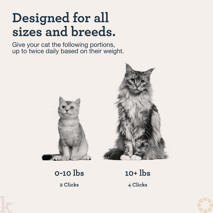 CBD Cat Urinary Wellness Lick