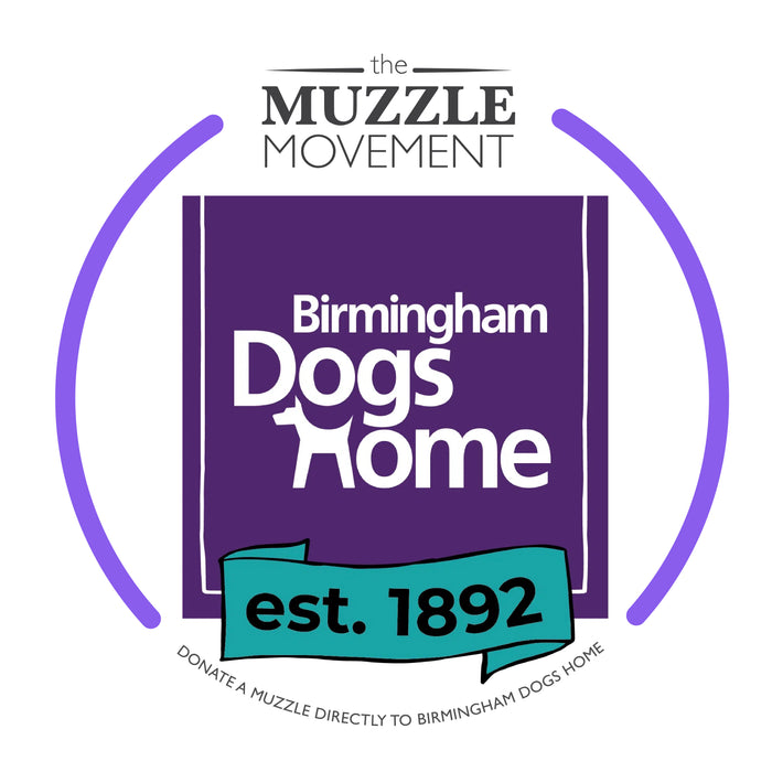 Charity Colour Muzzle – Birmingham Dogs Home - Ready to Ship