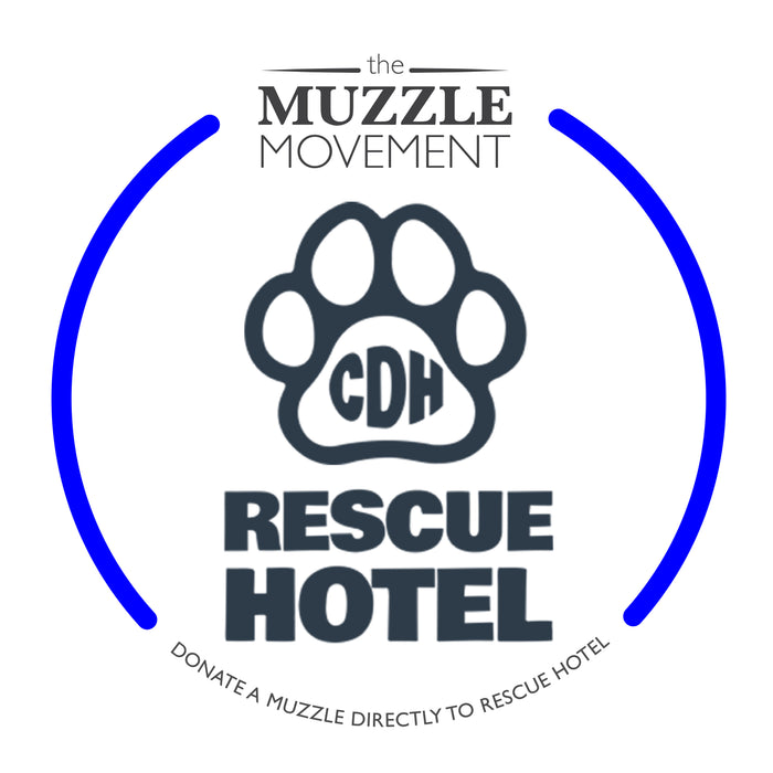 Charity Colour Muzzle – The Rescue Hotel - Ready to Ship
