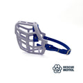 Rex / Standard / Buckle
