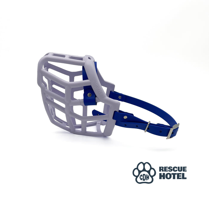Rex / Standard / Buckle
