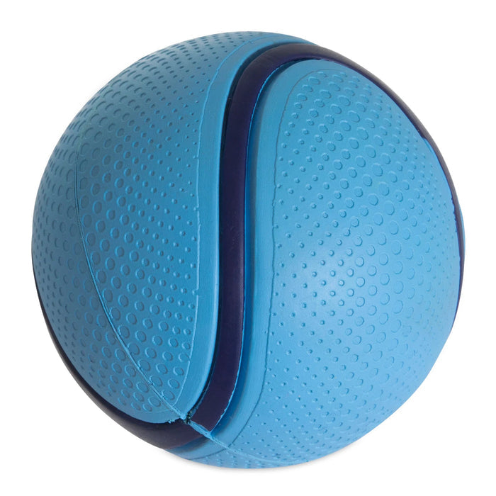 Chuckit! Bacon Sniff Fetch Ball Dog Toy