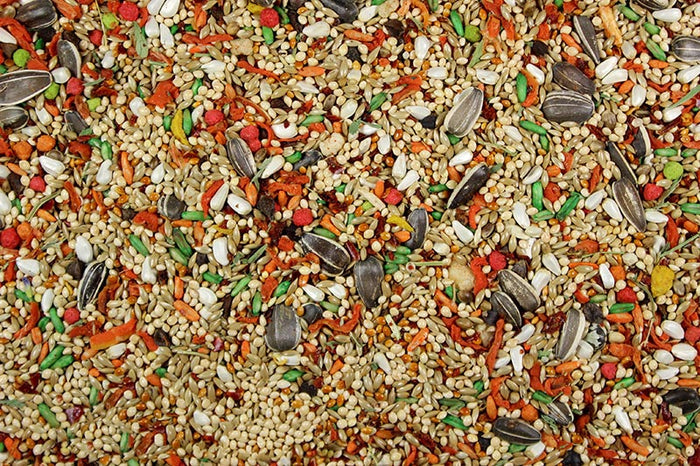 A close-up view of a mix of seeds and grains, part of the Cockatiel and Conure Cuisine bird food.