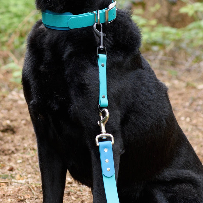 Collar Attachment