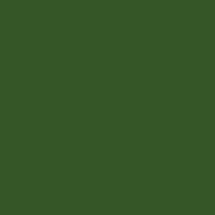 Confetti Cotton Solids- Hunter